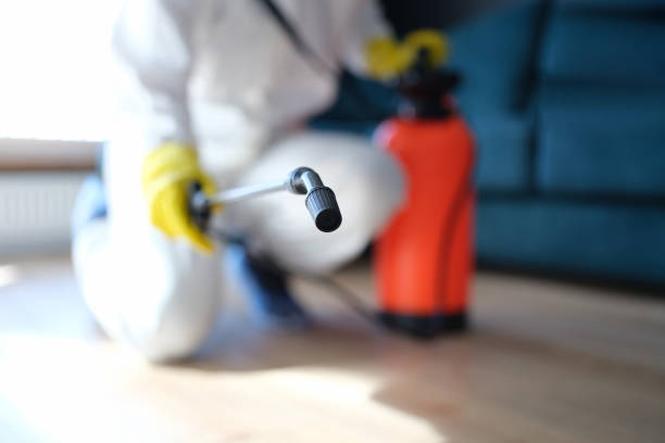 Reliable Heavener, OK Mold Removal Solutions